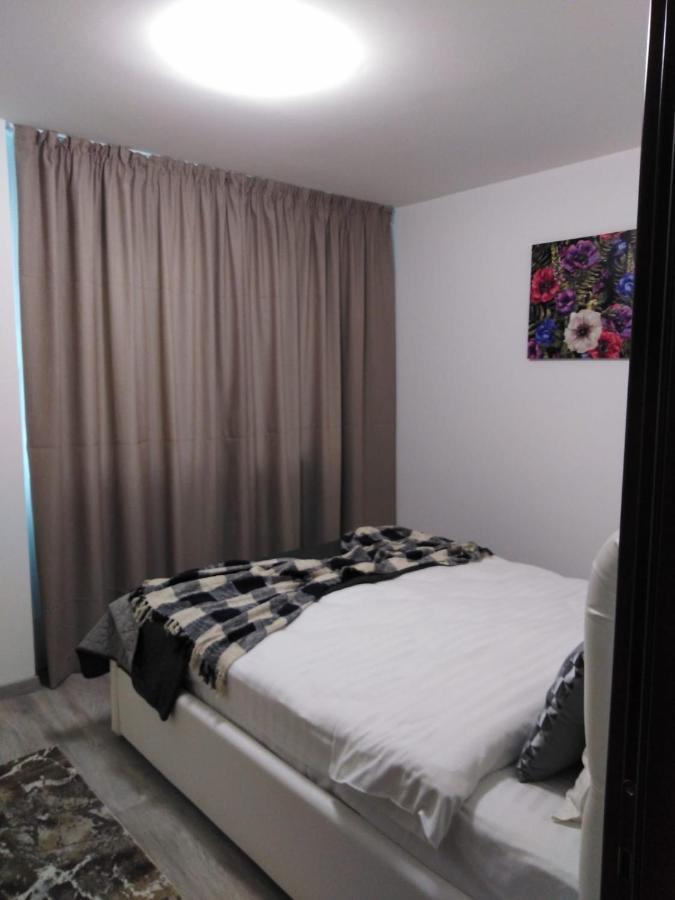 Avram Iancu Apartment *